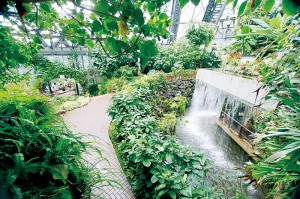 花の文化園-大温室