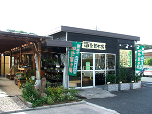 四季菜市場
