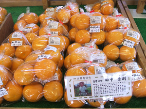 四季菜市場
