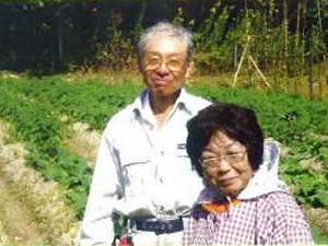 四季菜市場