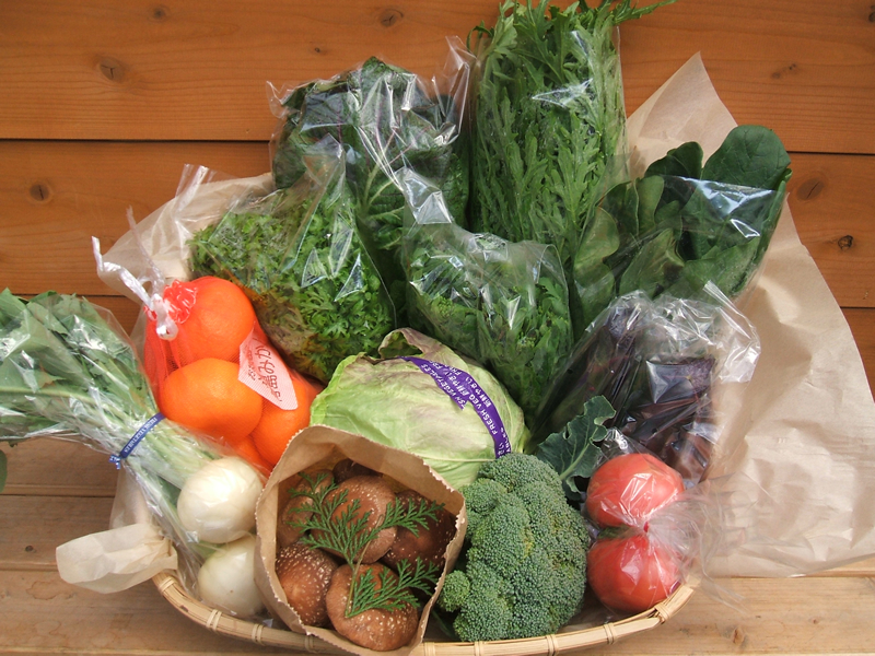 野菜セット